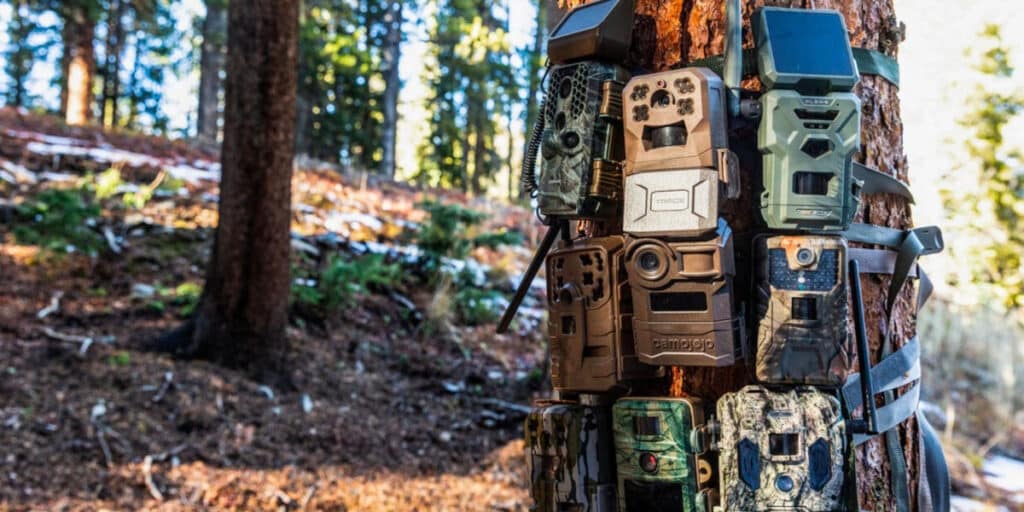 hunting-camera-ss2-01-1024x512